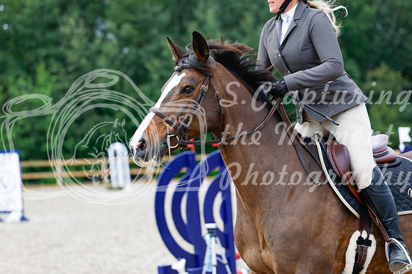 2025 - Haylee - Picco Horse Show - Saturday July 26th 02768