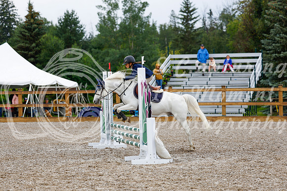 2025 - Haylee - Picco Horse Show - Sunday July 27th 00686