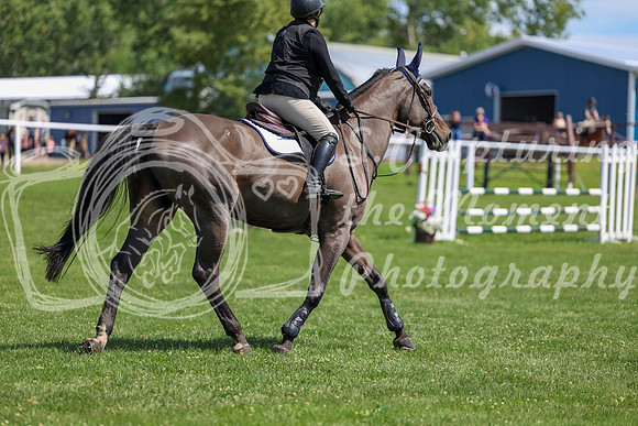 2025 - Shea - Teesdale - Thursday July 24th - 01347