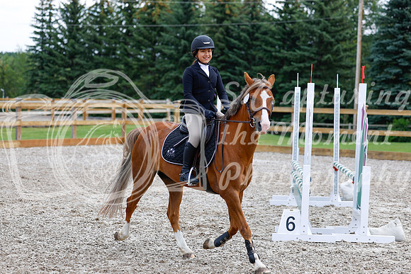 2025 - Haylee - Picco Horse Show - Saturday July 26th 02312