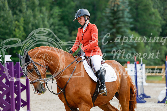 2025 - Haylee - Picco Horse Show - Saturday July 26th 09189