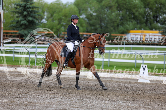 2025 - Dressage Festival - Sunday July 6th - 11703