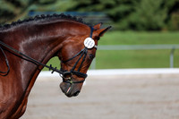 2025 - Dressage Festival - Saturday July 5th - 01256
