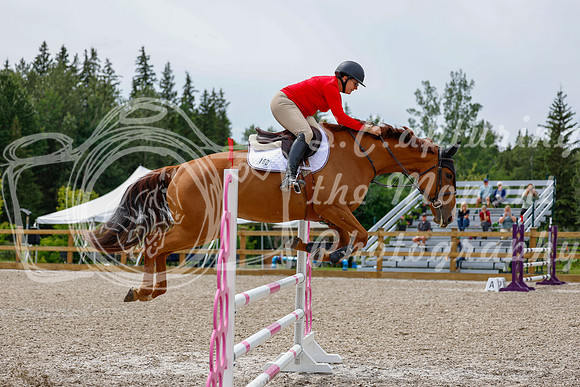 2025 - Haylee - Picco Horse Show - Friay July 25th 03310