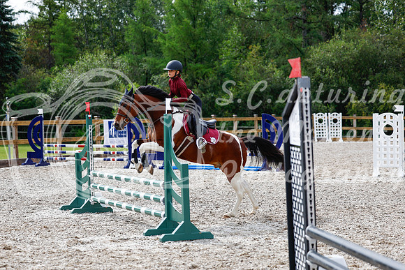 2025 - Haylee - Picco Horse Show - Friay July 25th 00878