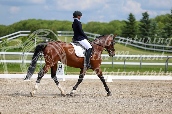 2025 - Dressage Festival - Saturday July 5th - 12844