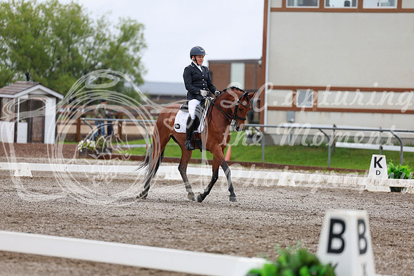 2025 - Dressage Festival - Sunday July 6th - 06509