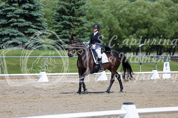 2025 - Dressage Festival - Saturday July 5th - 03640