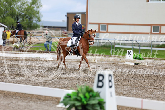 2025 - Dressage Festival - Sunday July 6th - 12203