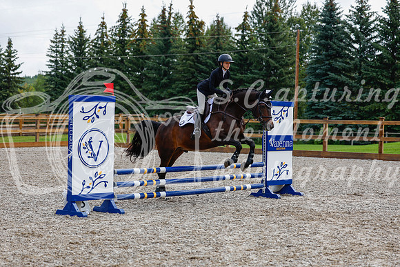 2025 - Haylee - Picco Horse Show - Sunday July 27th 02102