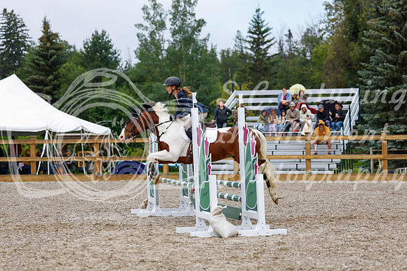 2025 - Haylee - Picco Horse Show - Sunday July 27th 01676