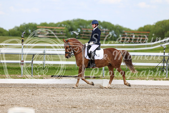 2025 - Dressage Festival - Saturday July 5th - 11829