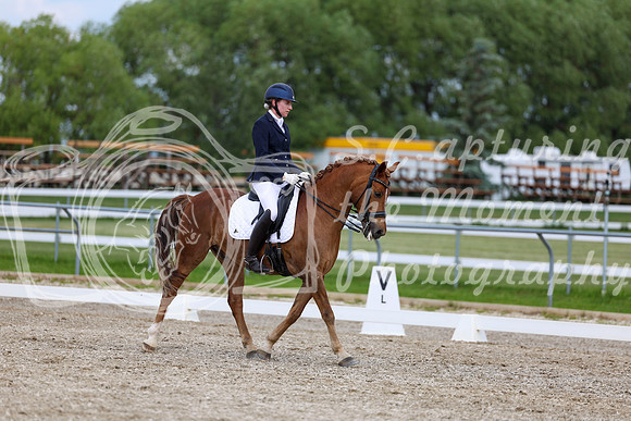 2025 - Dressage Festival - Saturday July 5th - 11857