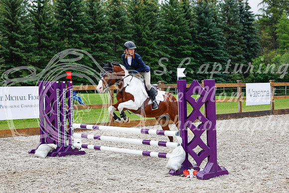 2025 - Haylee - Picco Horse Show - Sunday July 27th 01668