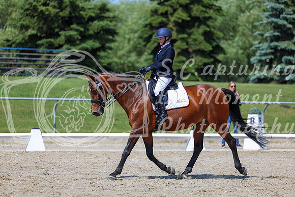 2025 - Dressage Festival - Saturday July 5th - 05662