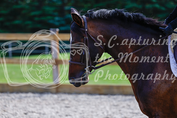 2025 - Haylee - Picco Horse Show - Thursday July 24th 01995