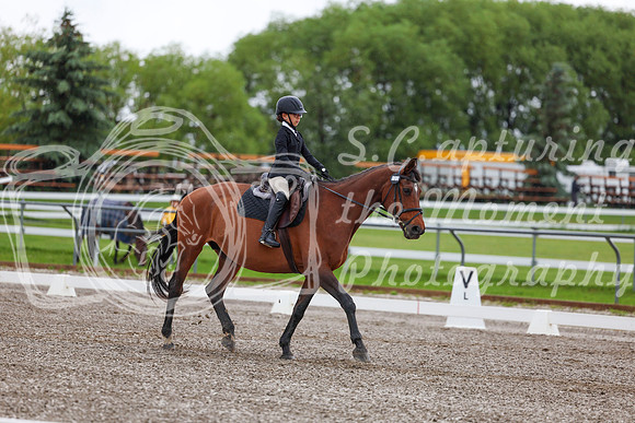 2025 - Dressage Festival - Sunday July 6th - 01817