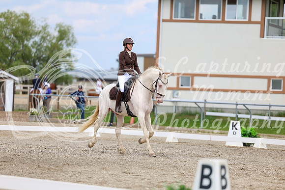 2025 - Dressage Festival - Saturday July 5th - 12078