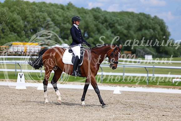 2025 - Dressage Festival - Saturday July 5th - 12824