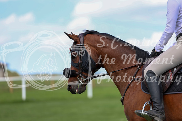 2025 - Shea - Teesdale - Thursday July 24th - 03353
