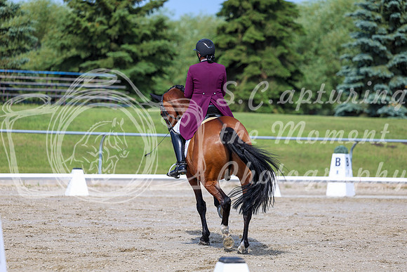 2025 - Dressage Festival - Saturday July 5th - 03213