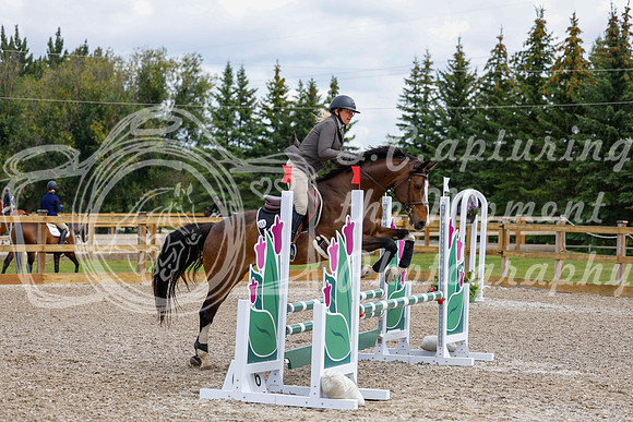 2025 - Haylee - Picco Horse Show - Saturday July 26th 03988