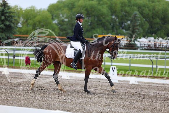 2025 - Dressage Festival - Sunday July 6th - 04427
