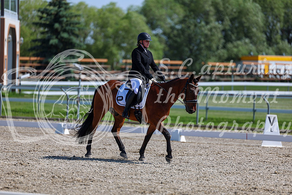 2025 - Dressage Festival - Saturday July 5th - 05155