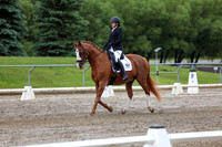 2025 - Dressage Festival - Sunday July 6th - 10392