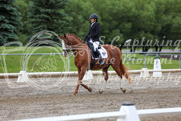 2025 - Dressage Festival - Sunday July 6th - 10392