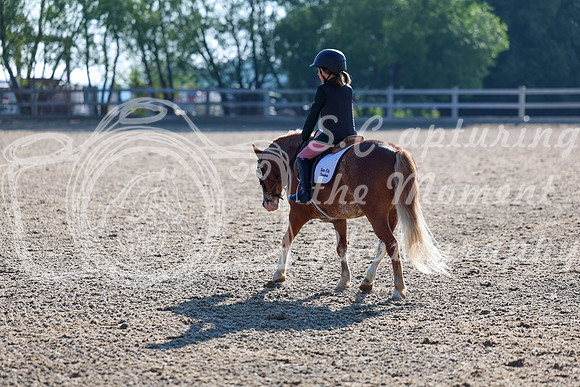2025 - Dressage Festival - Saturday July 5th - 00027