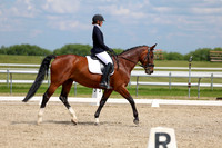 2025 - Dressage Festival - Saturday July 5th - 12839