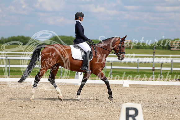 2025 - Dressage Festival - Saturday July 5th - 12839