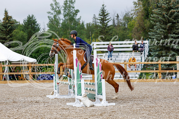 2025 - Haylee - Picco Horse Show - Sunday July 27th 01244
