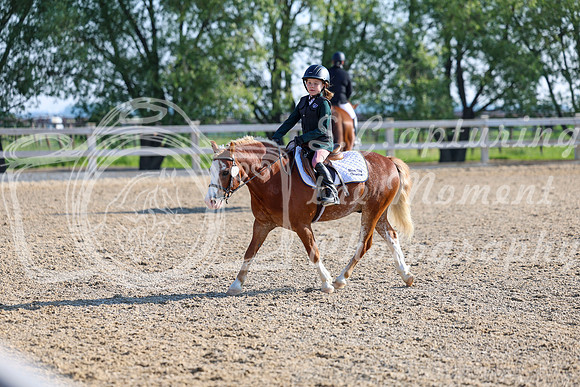 2025 - Dressage Festival - Saturday July 5th - 00002