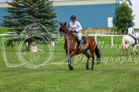 2025 - Shea - Teesdale - Thursday July 24th - 03651