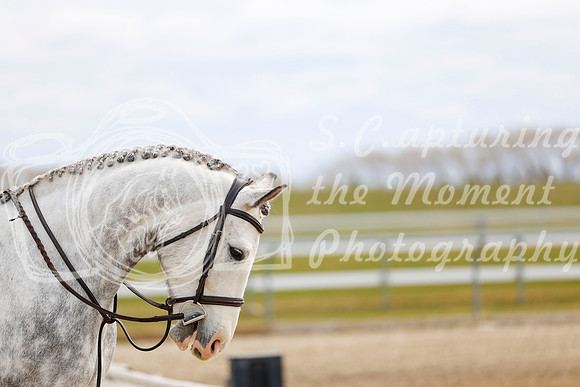 2025 - Haylee - Spring Welcome - Sunday April 27th - 03390