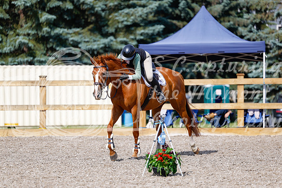 2025 - Haylee - Picco Horse Show - Thursday July 24th 01269