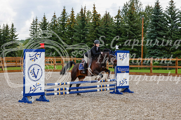 2025 - Haylee - Picco Horse Show - Sunday July 27th 00588