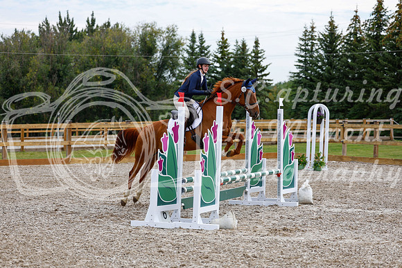2025 - Haylee - Picco Horse Show - Saturday July 26th 01767