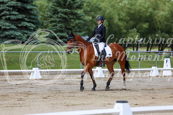 2025 - Dressage Festival - Saturday July 5th - 07294