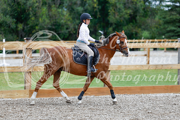 2025 - Haylee - Picco Horse Show - Friay July 25th 01307