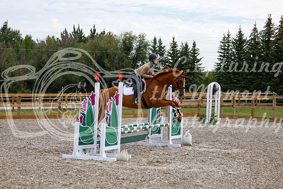 2025 - Haylee - Picco Horse Show - Saturday July 26th 01622