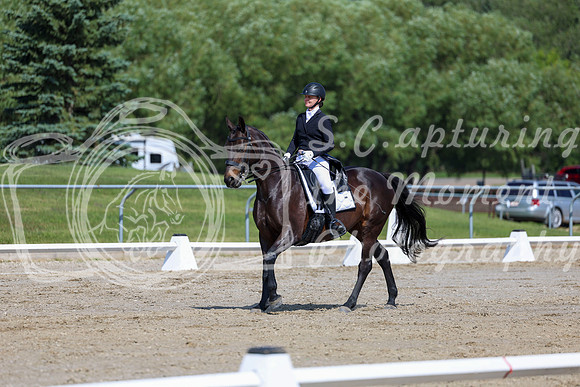 2025 - Dressage Festival - Saturday July 5th - 03635