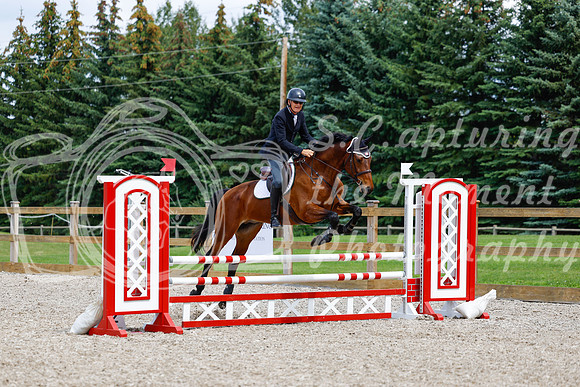 2025 - Haylee - Picco Horse Show - Saturday July 26th 06019