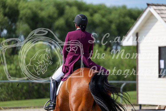 2025 - Dressage Festival - Saturday July 5th - 03083
