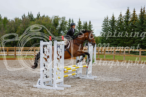 2025 - Haylee - Picco Horse Show - Friay July 25th 01204