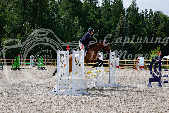 2025 - Haylee - Picco Horse Show - Thursday July 24th 02718