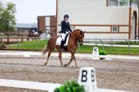 2025 - Dressage Festival - Sunday July 6th - 07623