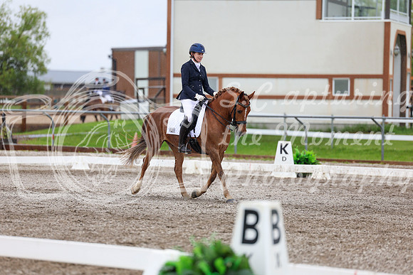 2025 - Dressage Festival - Sunday July 6th - 07623